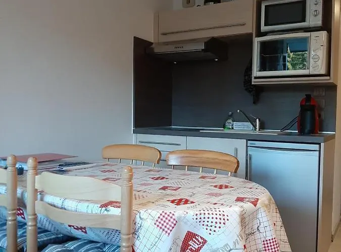Studio Renove, Calme Avec Terrasse S-O, Prestations De Qualite - Residence Les Adraits
