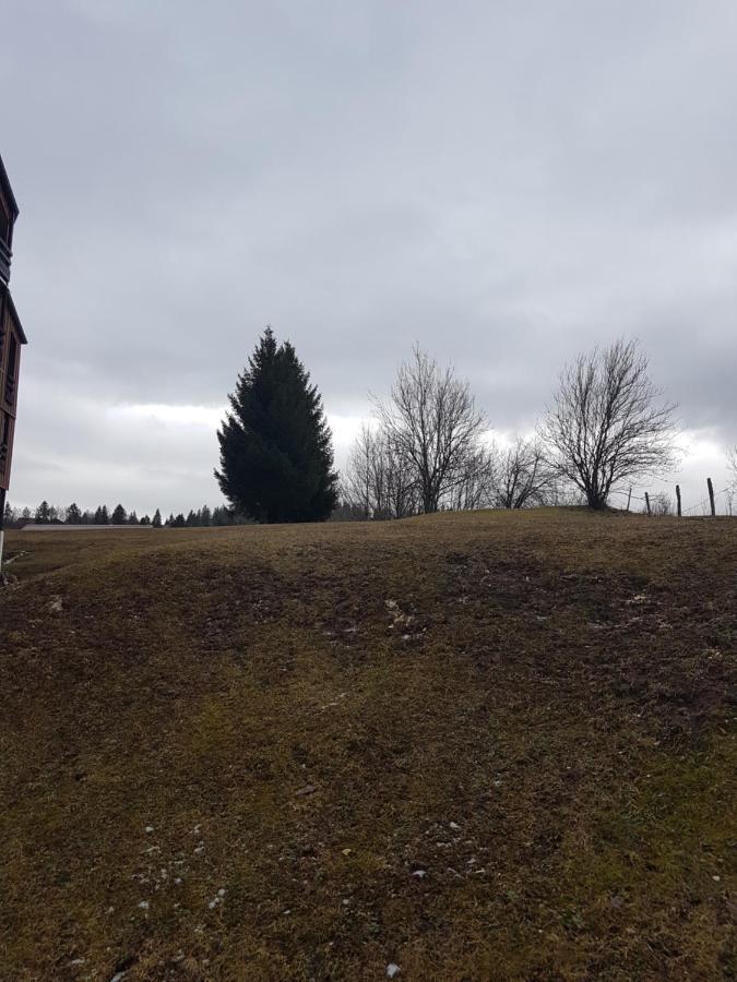 Appartement Fabuleux - Les Adraits - Calme Et Terrasse S-o Les Rousses